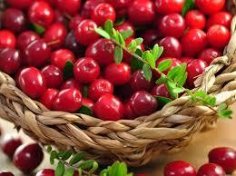 Cranberry (400mg)